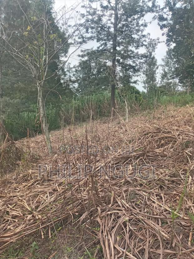 Land for Sale in Kiambu - thumbnail 7