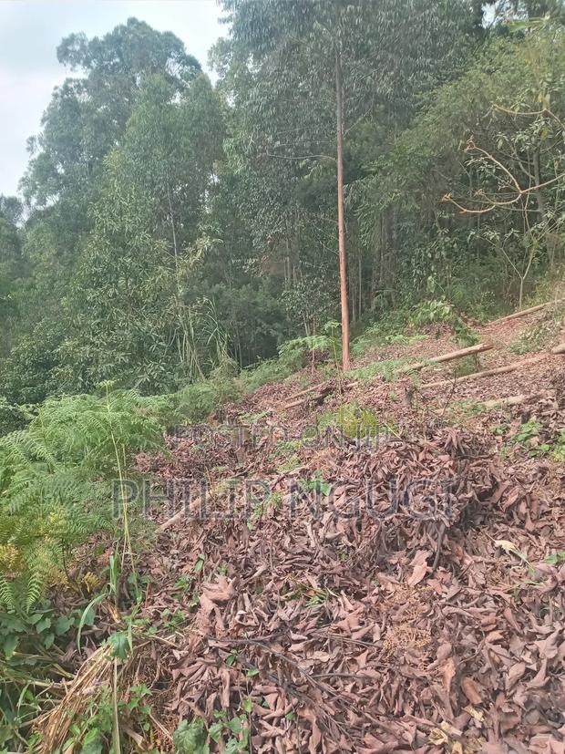 Land for Sale in Kiambu - thumbnail 8