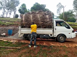 Makuti for Sale, Construction and Delivery.