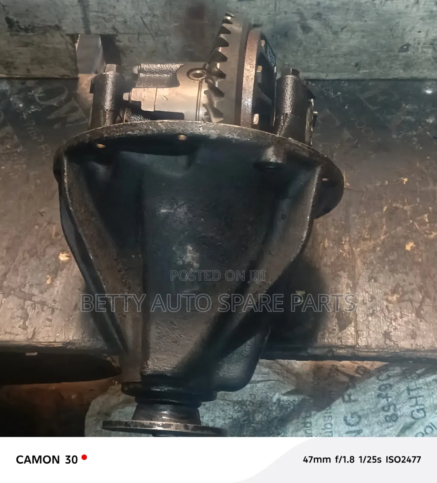 Toyota Landcruiser 79 Differential Rear