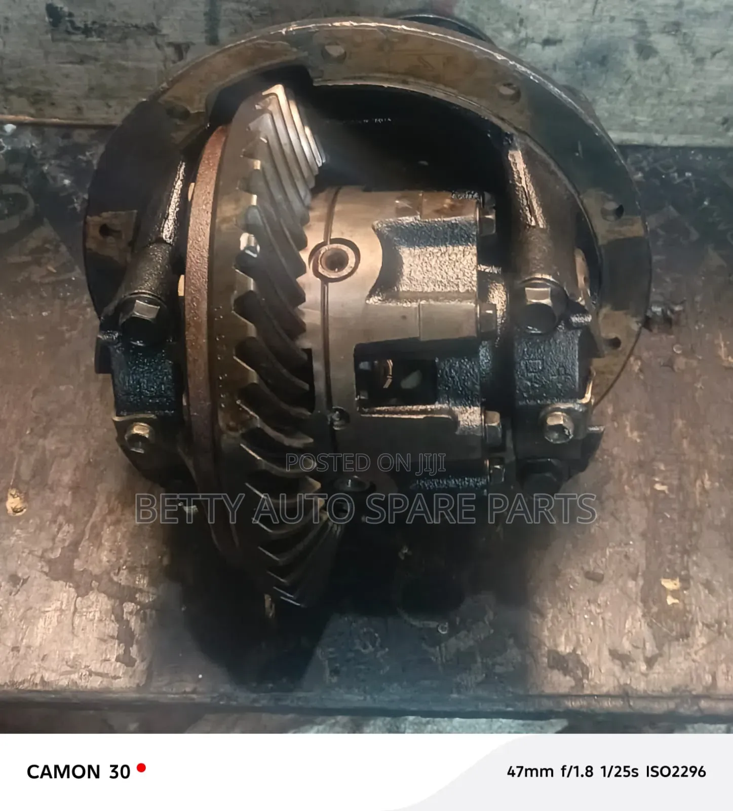 Toyota Landcruiser 79 Differential Rear