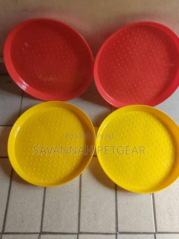 Chick Feeder Tray - Durable and Ergonomic Design