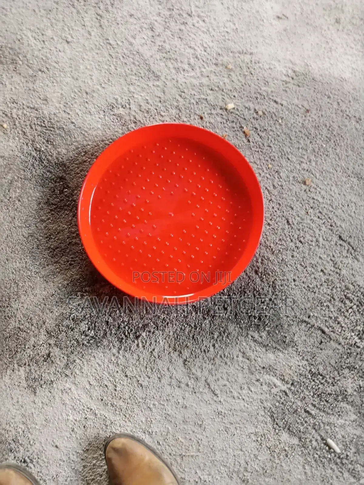 Chick Feeder Tray - Durable and Ergonomic Design