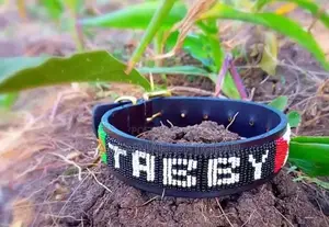 Pure Leather Masai Beads Dog Collar - Small Medium (Customized)