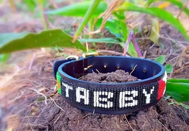 Pure Leather Masai Beads Dog Collar - Small Medium (Customized) - main view