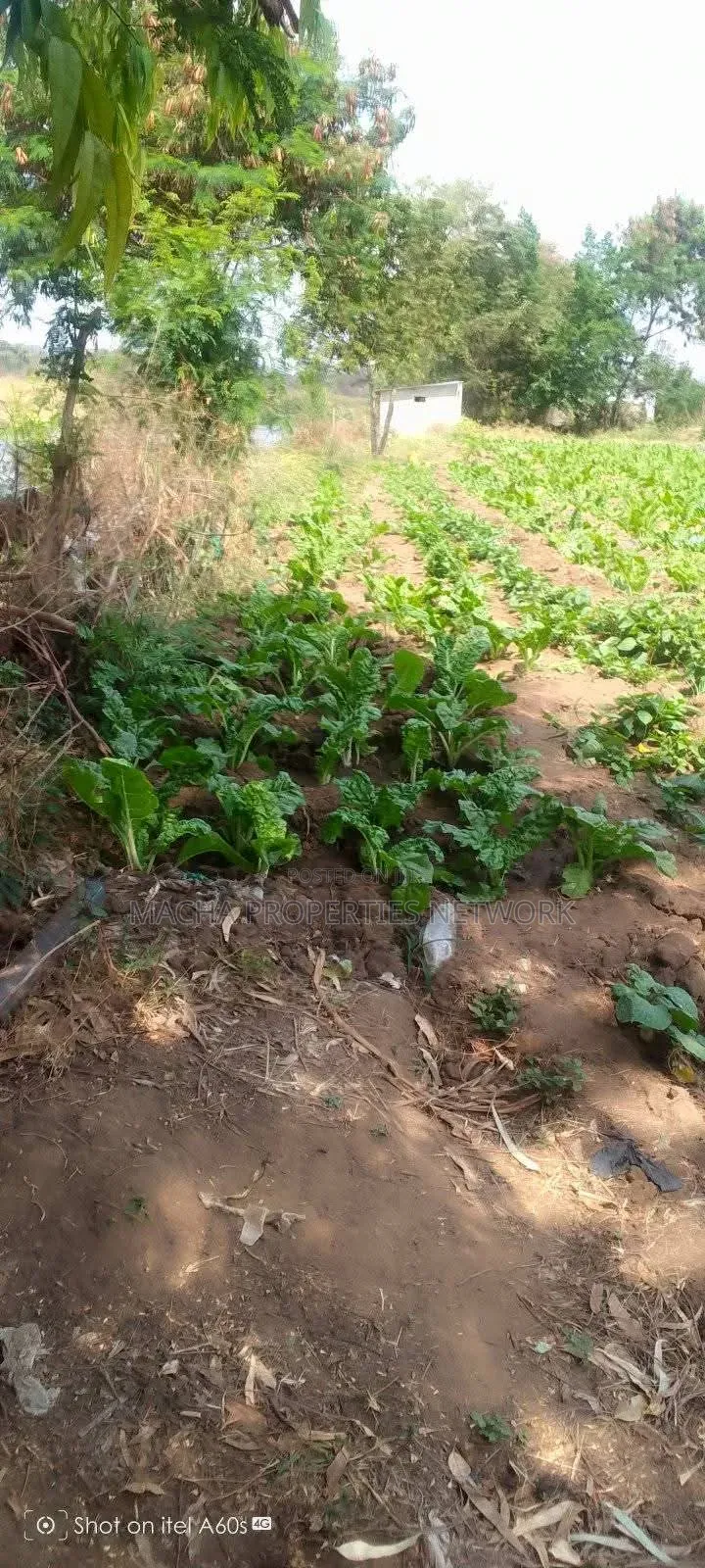 Fronting Athiriver 49 Acres -Kalawa Land for Sale