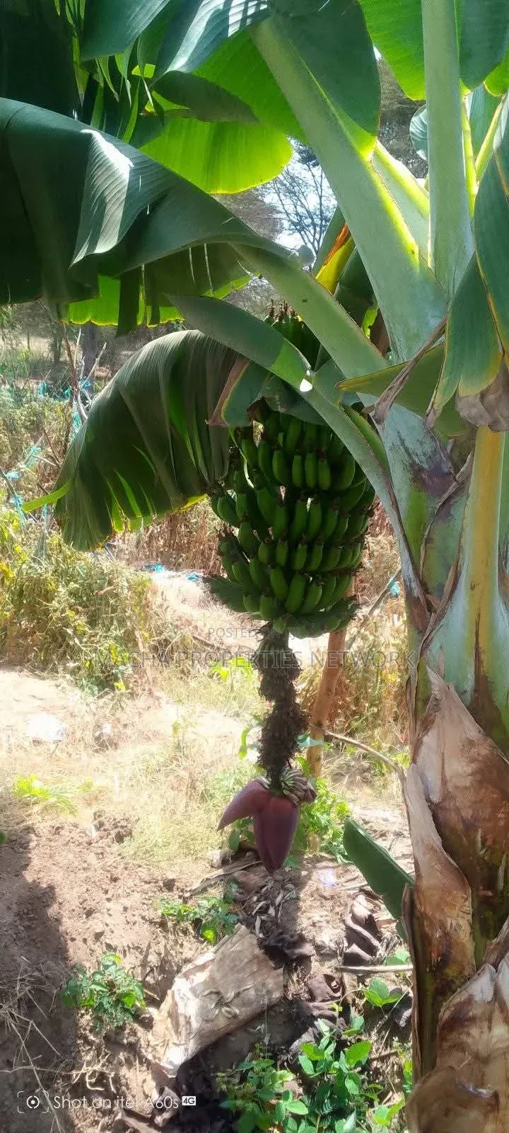 Fronting Athiriver 49 Acres -Kalawa Land for Sale