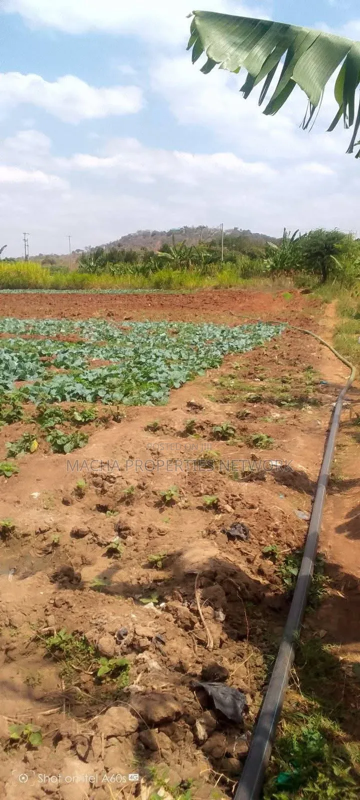 Fronting Athiriver 49 Acres -Kalawa Land for Sale