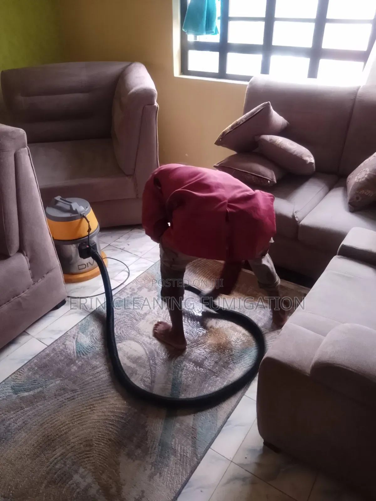 Professional Couch Sofa and Mattress Cleaning