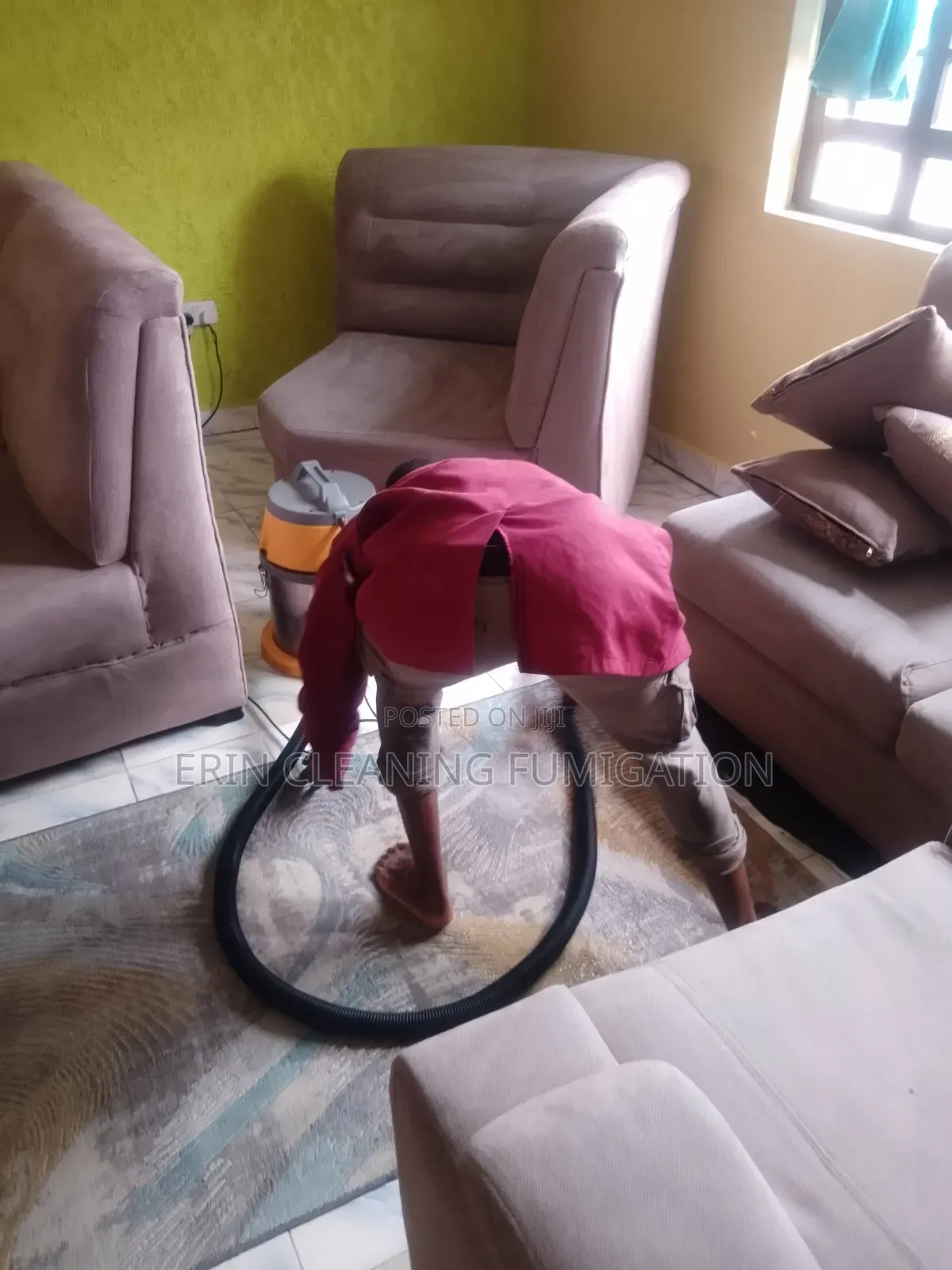 Professional Couch Sofa and Mattress Cleaning