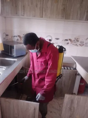 Office Fumigation Against All Insects