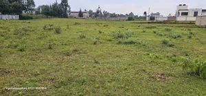 1⁄4 PLPT for Sale in Racecours Eldoret