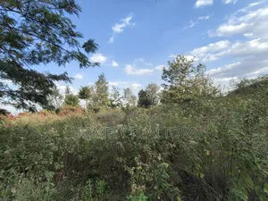 6-Acre Piece of Land Is on Sale in Kiserian Touching the Main Road