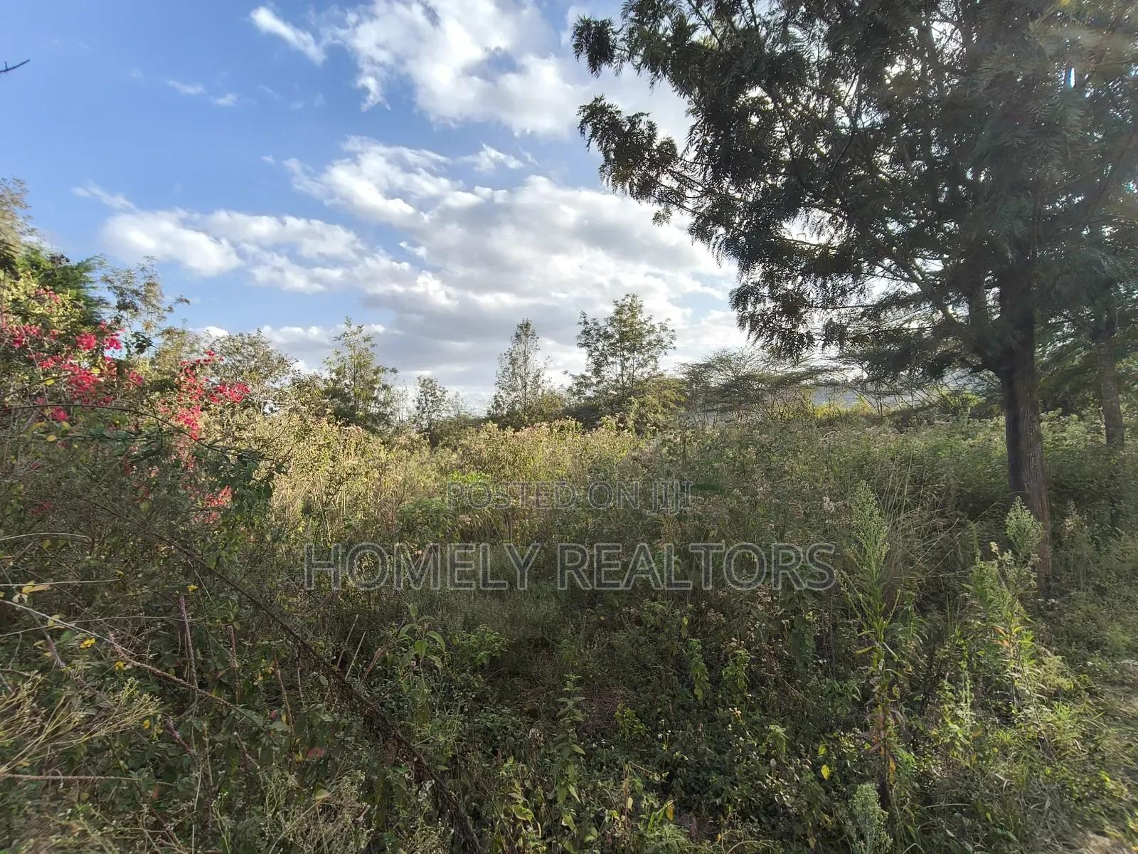 6-Acre Piece of Land Is on Sale in Kiserian Touching the Main Road