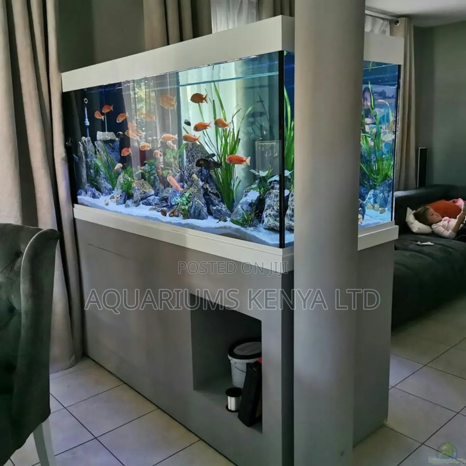 Customised Aquariums in Nairobi , Aquarium