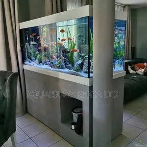 Customised Aquariums in Nairobi , Aquarium