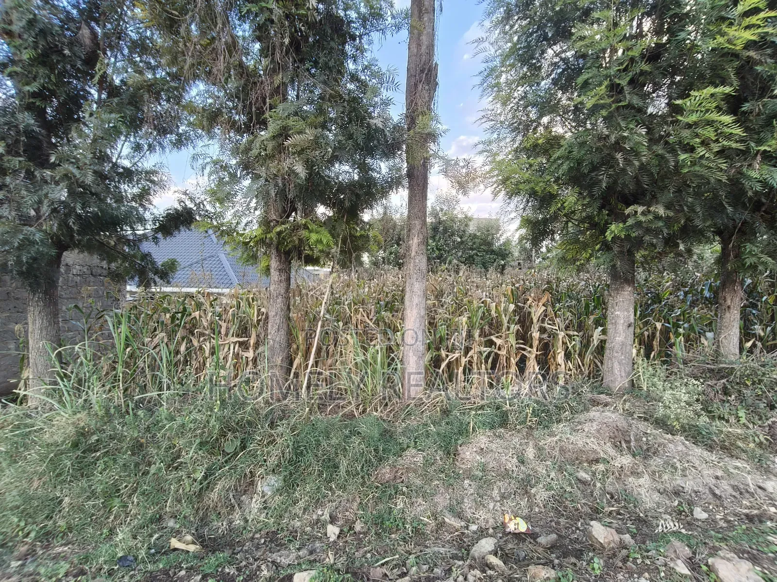 Prime Residential Eighth Acre Plot on Sale in Ngong Olkeri Near Tarmac