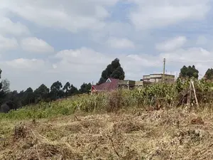 50x100 for Sale in Migumoini Kikuyu Kiambu County.