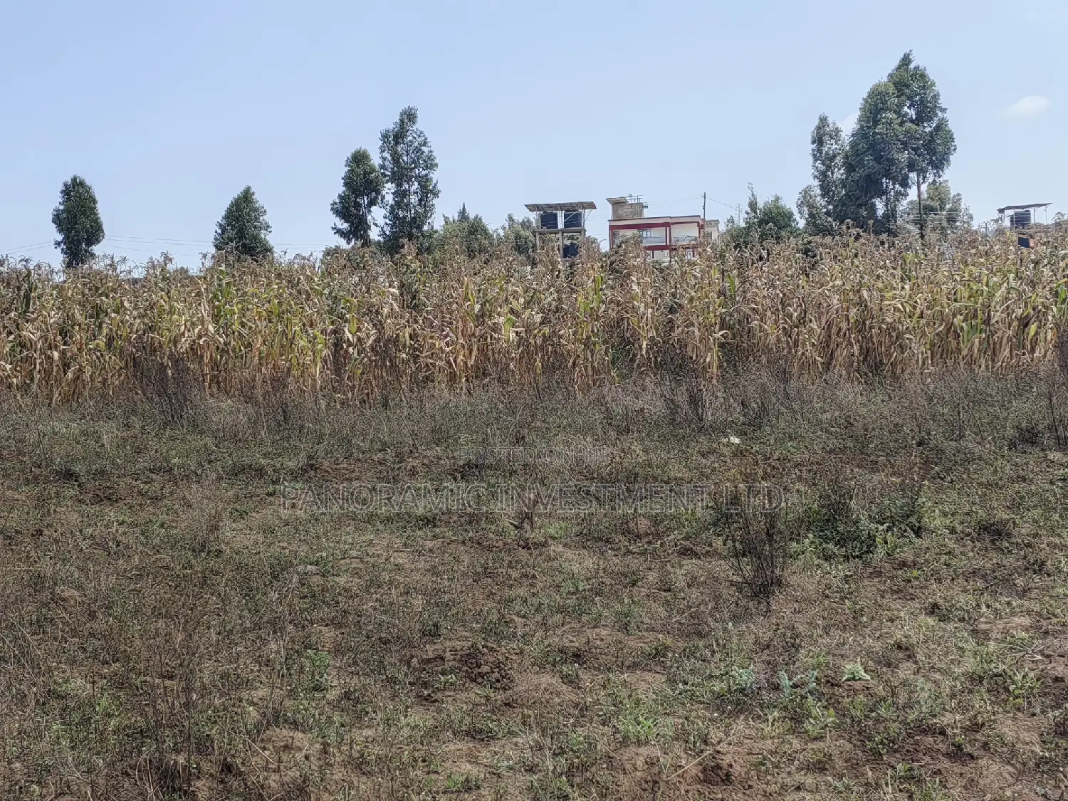 100x100 Plot for Sale Kamangu Ndiguini Kikuyu Kiambu County.