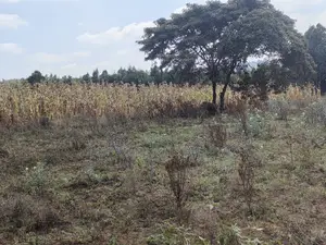 100x100 Plot for Sale Kamangu Ndiguini Kikuyu Kiambu County.