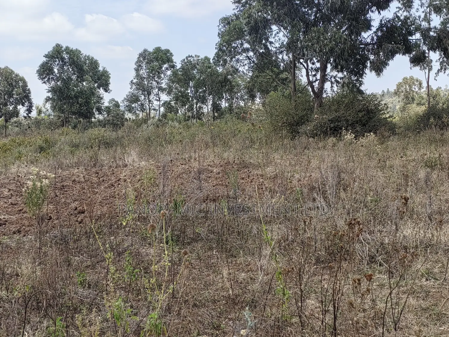100x100 Plot for Sale Kamangu Ndiguini Kikuyu Kiambu County.