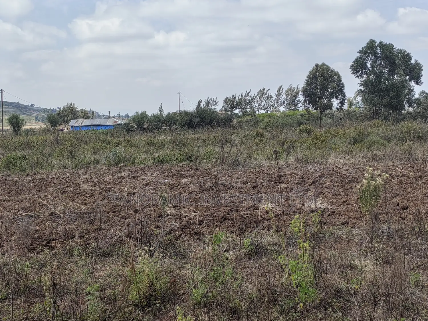 100x100 Plot for Sale Kamangu Ndiguini Kikuyu Kiambu County.