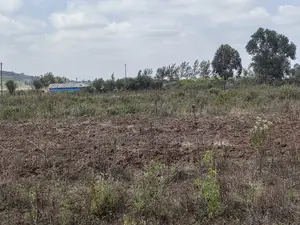 100x100 Plot for Sale Kamangu Ndiguini Kikuyu Kiambu County.