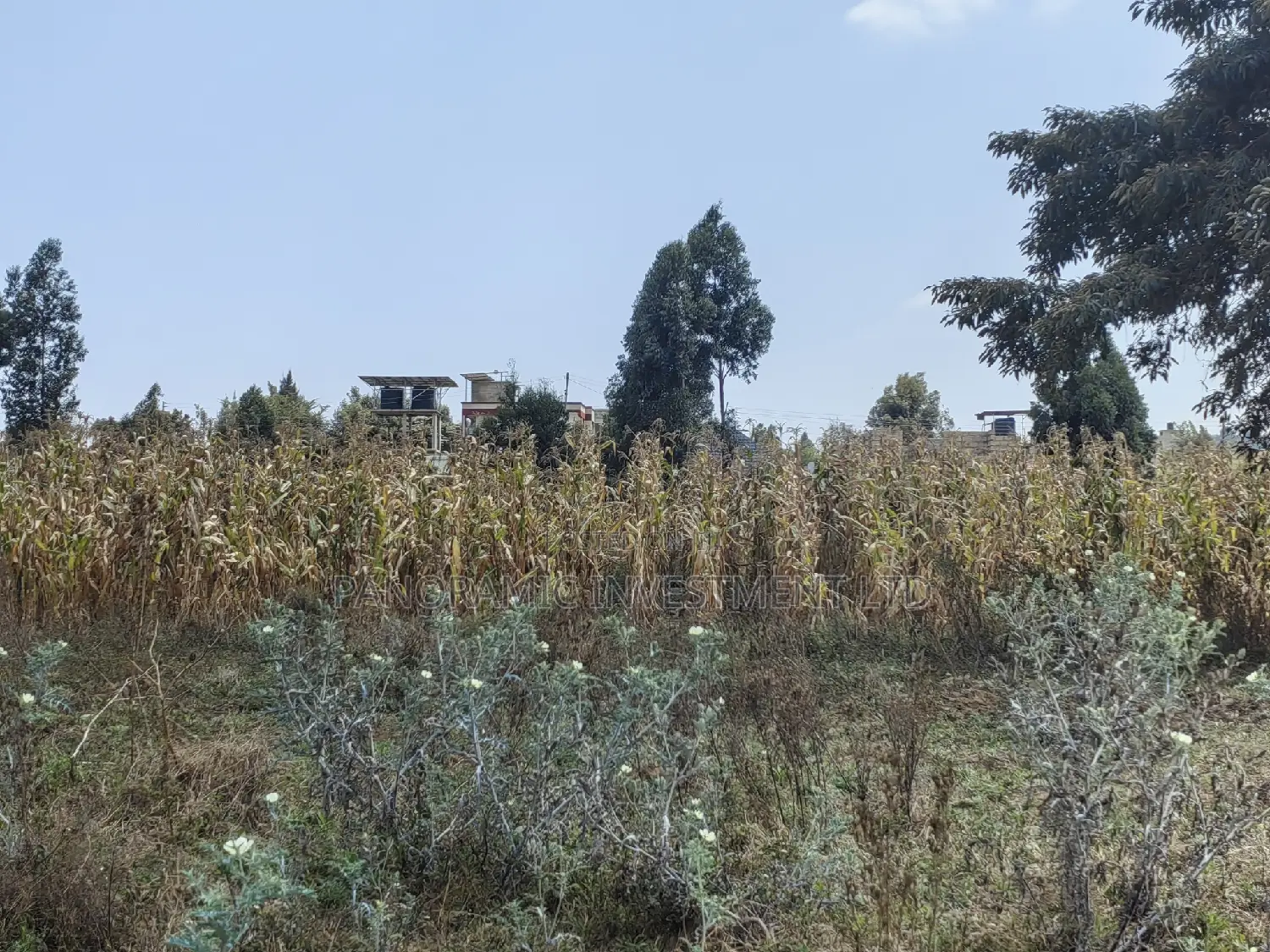 100x100 Plot for Sale Kamangu Ndiguini Kikuyu Kiambu County.