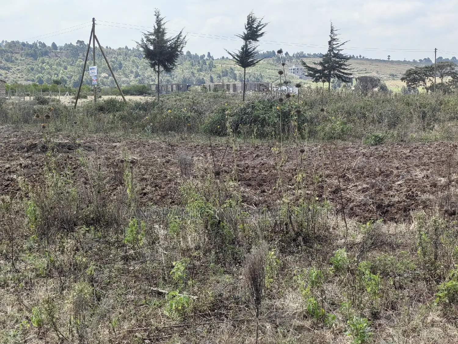100x100 Plot for Sale Kamangu Ndiguini Kikuyu Kiambu County.