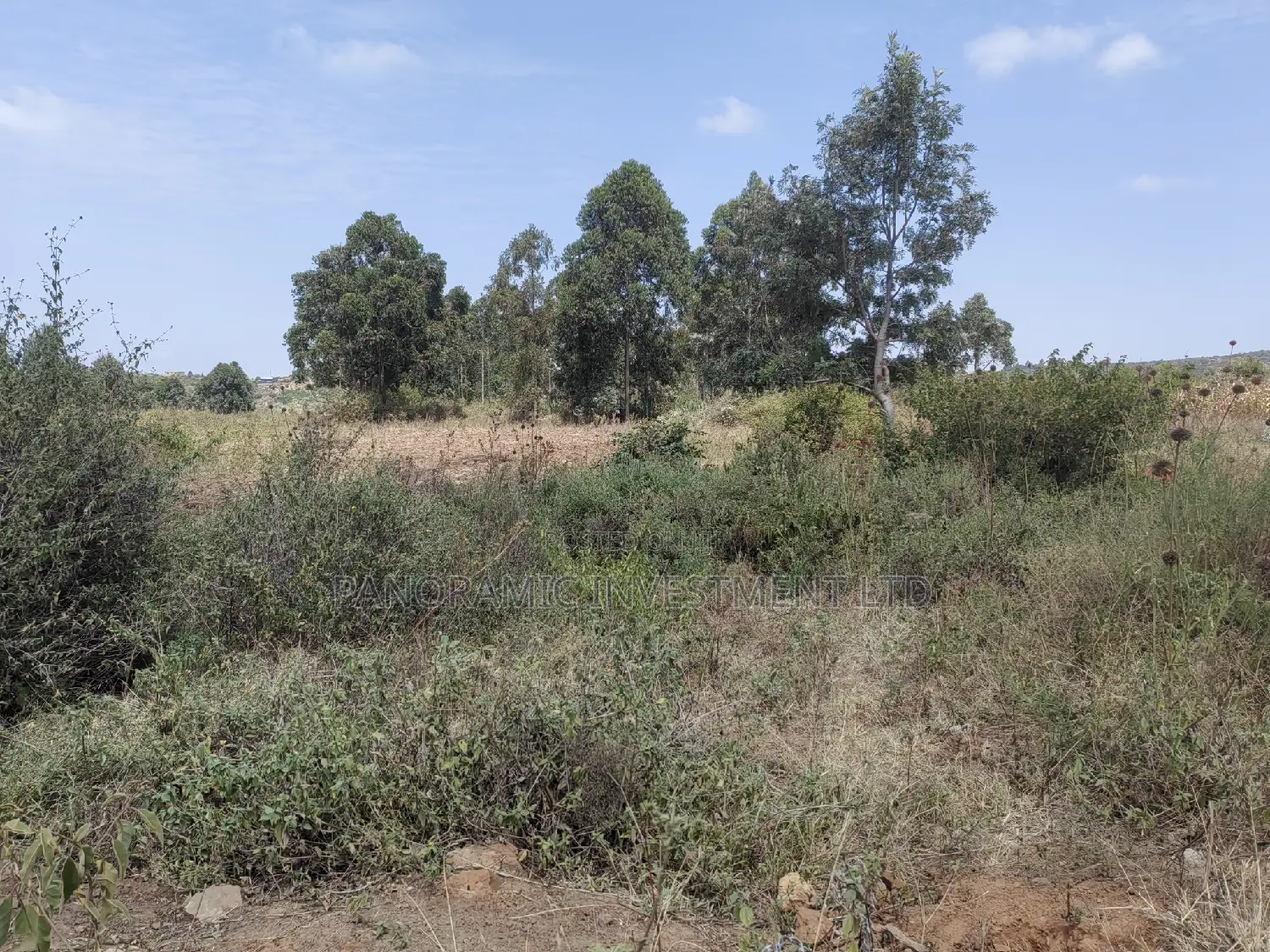 100x100 Plot for Sale Kamangu Ndiguini Kikuyu Kiambu County.