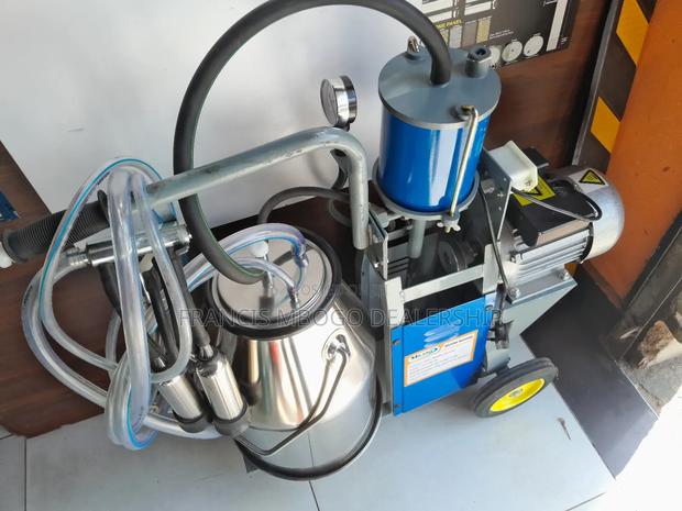 Single Bucket Milking - thumbnail 3