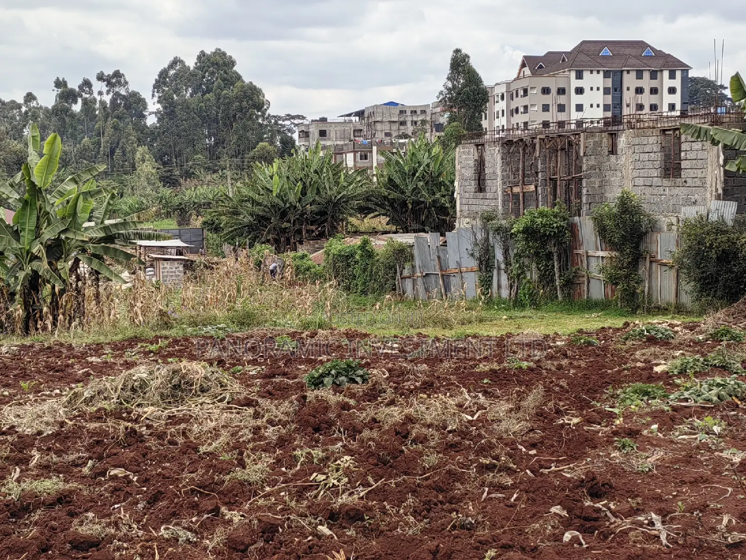 50x100 Plot for Sale in Gitaru Kikuyu Kiambu County.