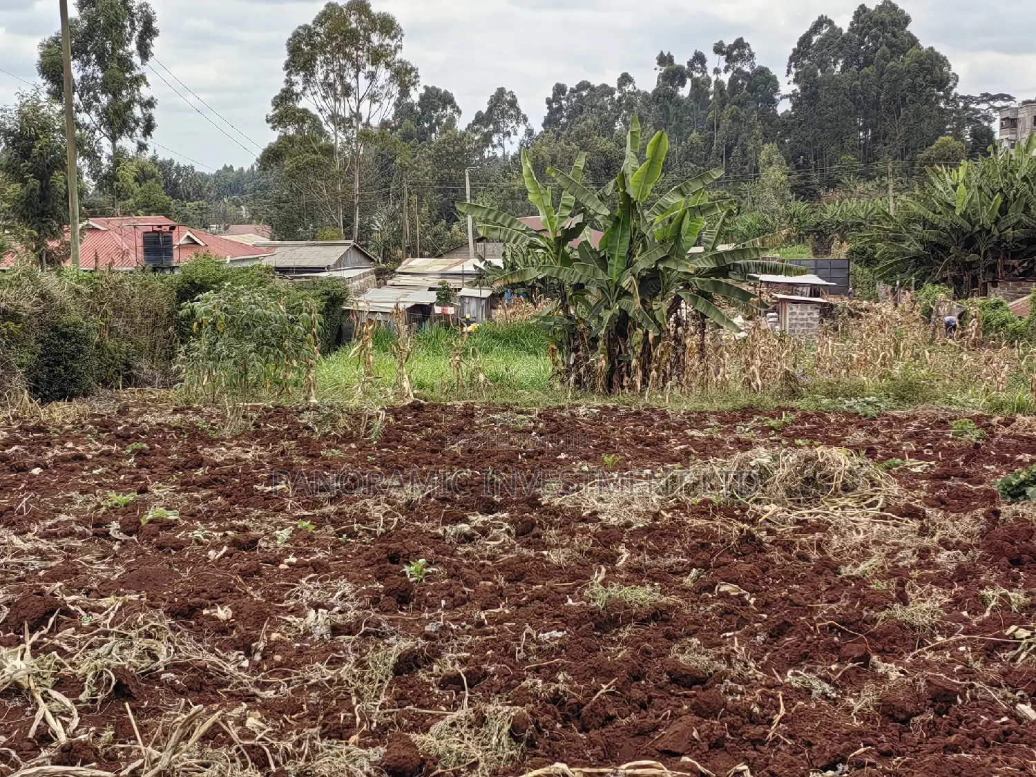 50x100 Plot for Sale in Gitaru Kikuyu Kiambu County.