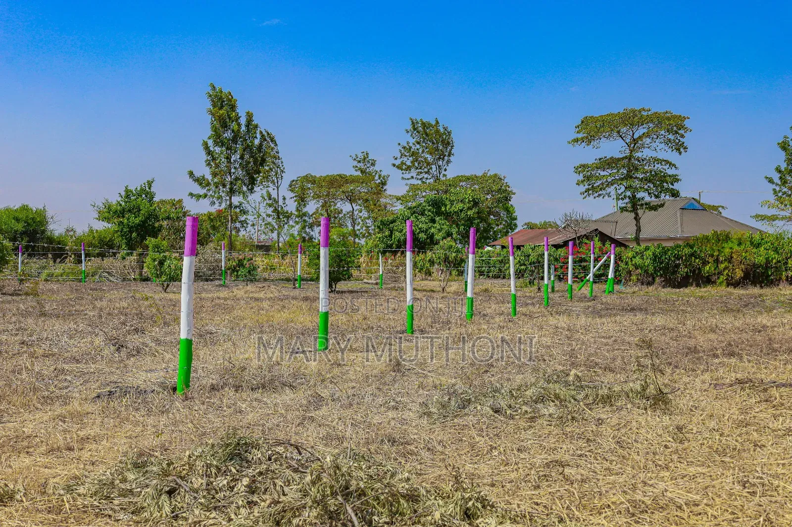 50*100 Plots in Gikumari at 