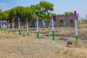 50*100 Plots in Gikumari at 