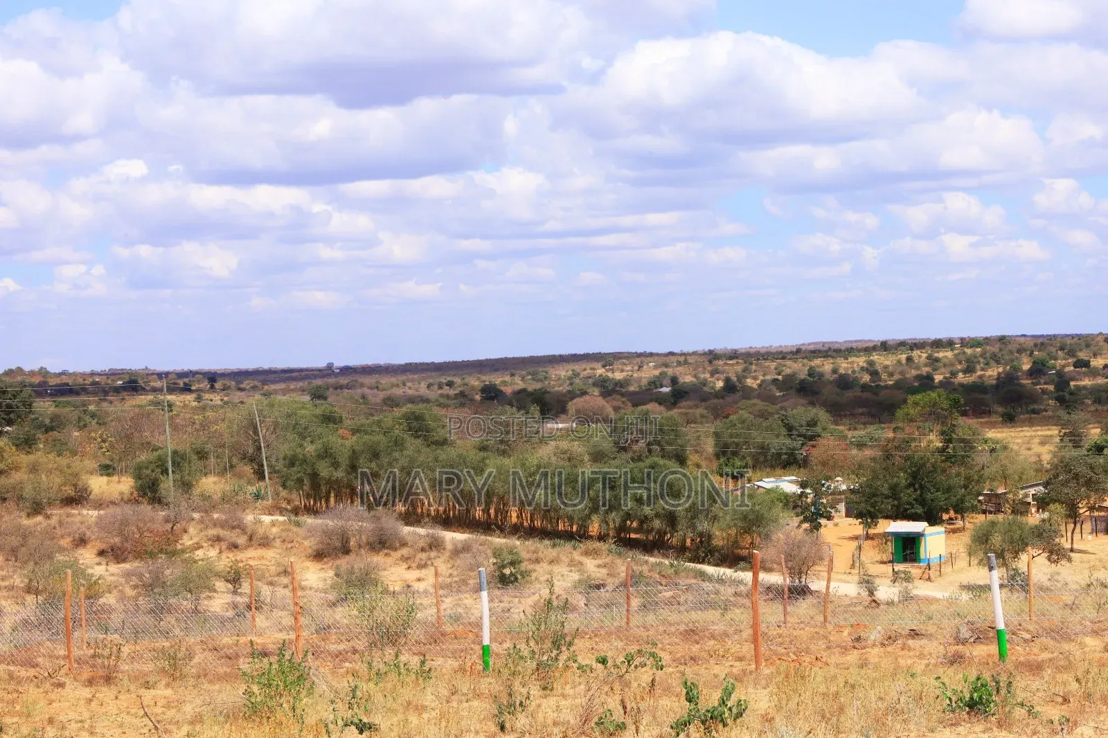 50*100 Plots in Matuu at 
