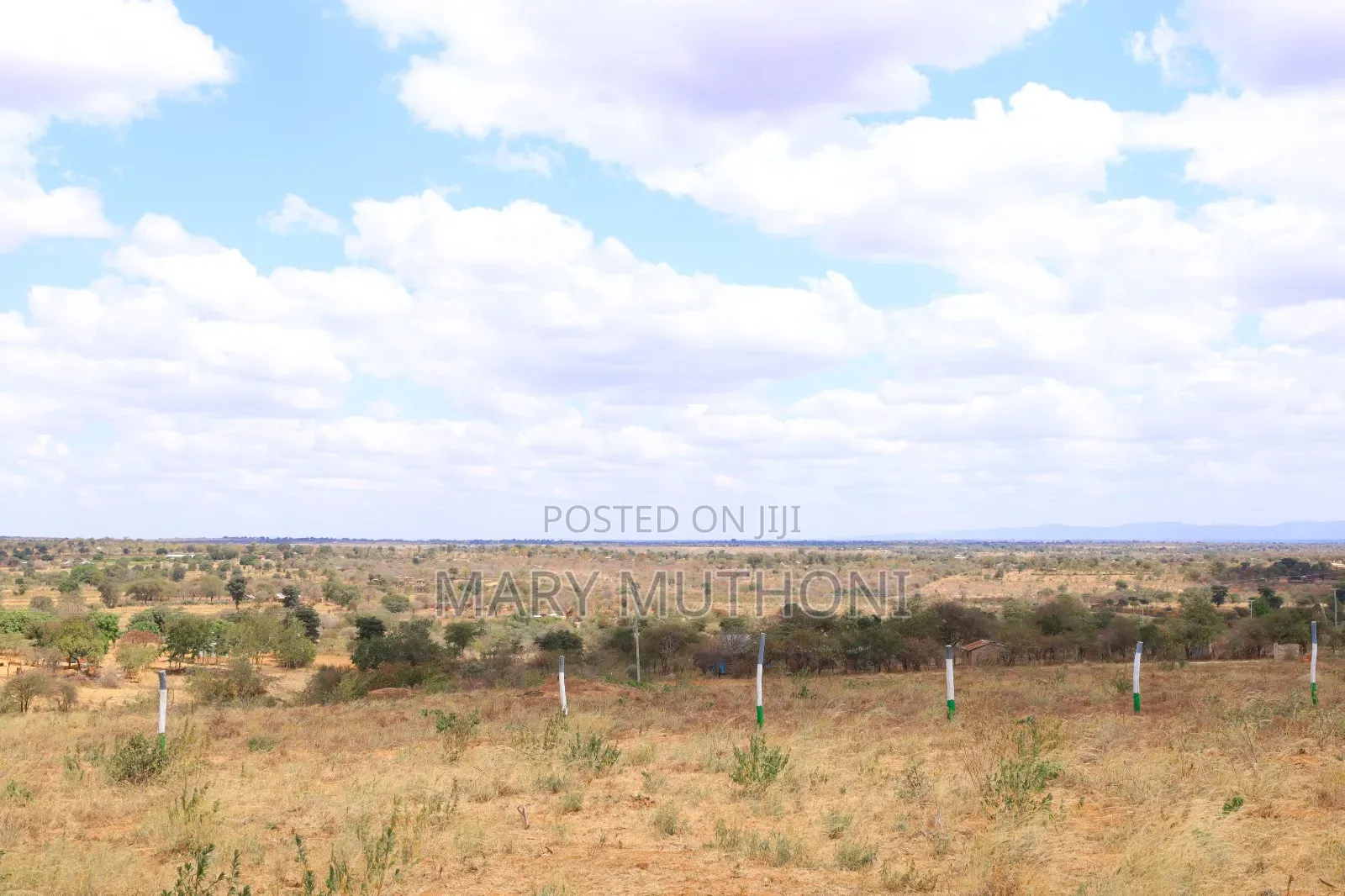 50*100 Plots in Matuu at 
