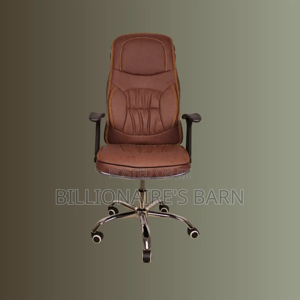 Ergonomic, Executive Leather Chair (Supportive) — Price Drop Today
