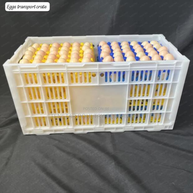 Eggs Transport Crate