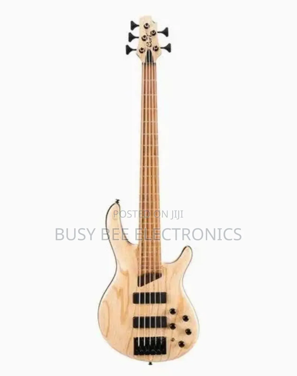 Ibanez Active