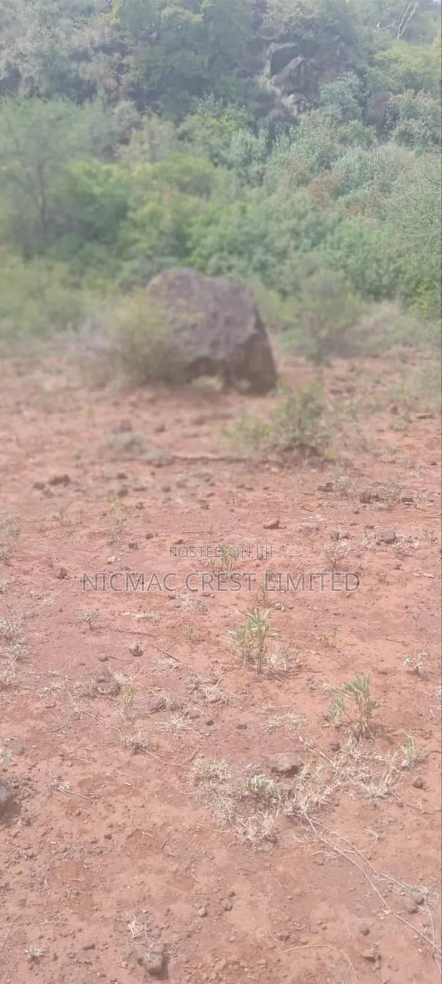 1/2 Plots For Sale - main view