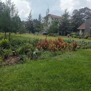 Kileleshwa 0.8 Plot for Sale 250m - thumbnail 2