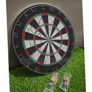 Proffessinal Dart Board - main view