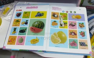 Rechargeable Sound English Words Book