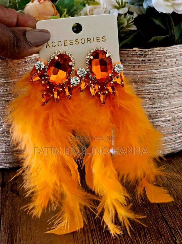 Fancy Earrings - main view