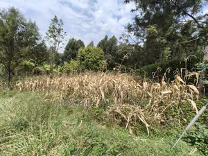 Residential Eighth Acre Plot in Ngong, Memusi. Red Soil Near Iat SCH