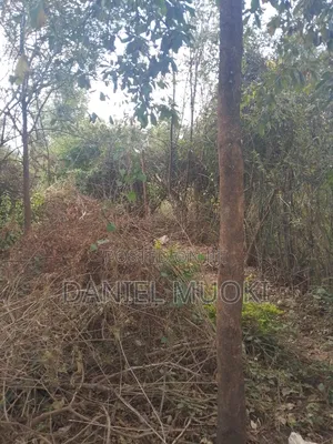 Plot on Sale