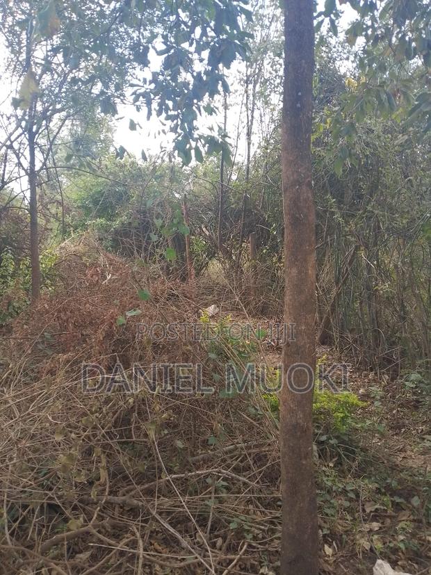 Plot on Sale