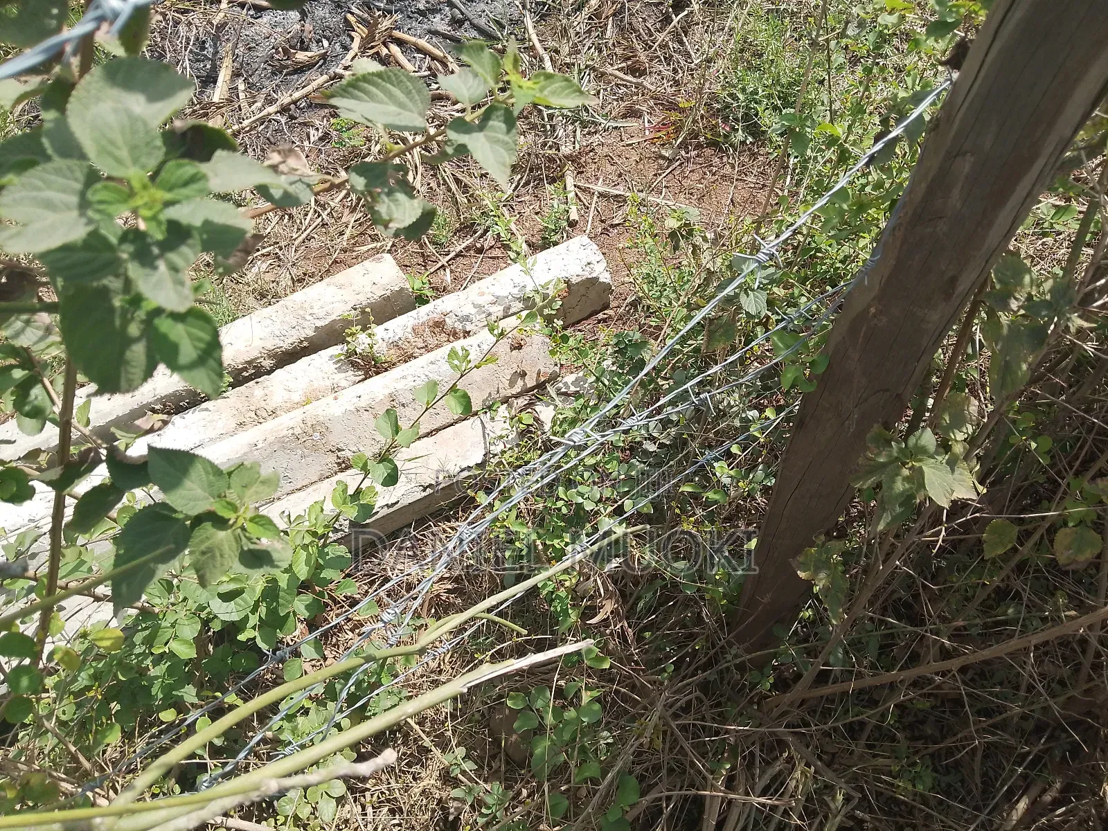 Plot on Sale