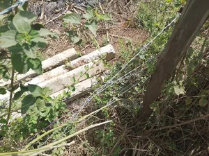 Plot on Sale